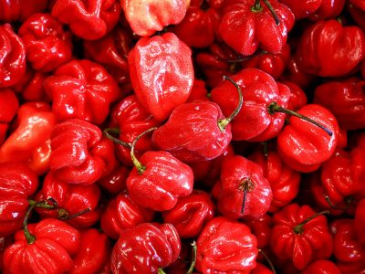Fresh pepper  – 30pcs
