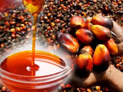 Palm Oil – 5 litres